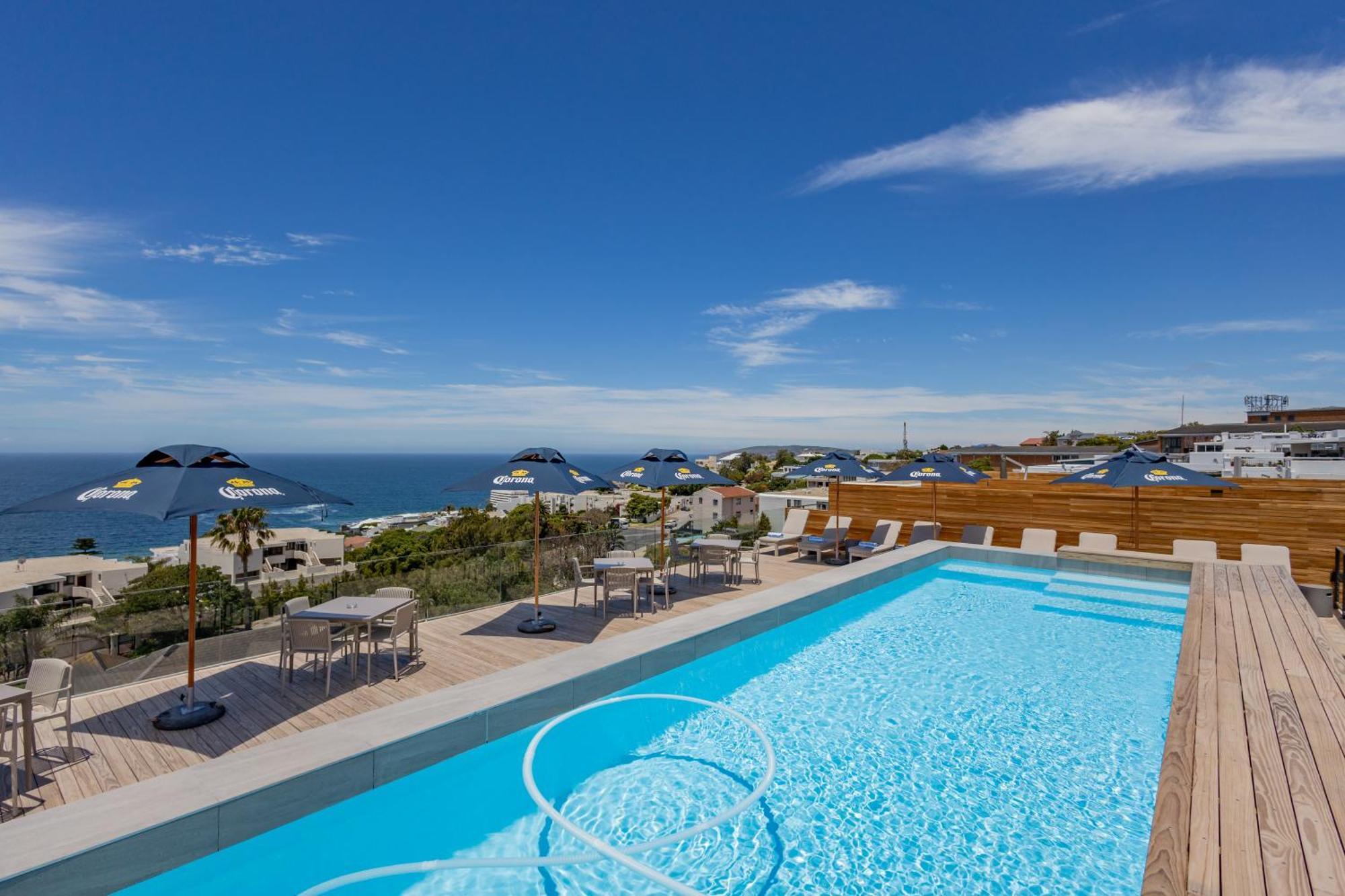Plett Quarter - Lion Roars &